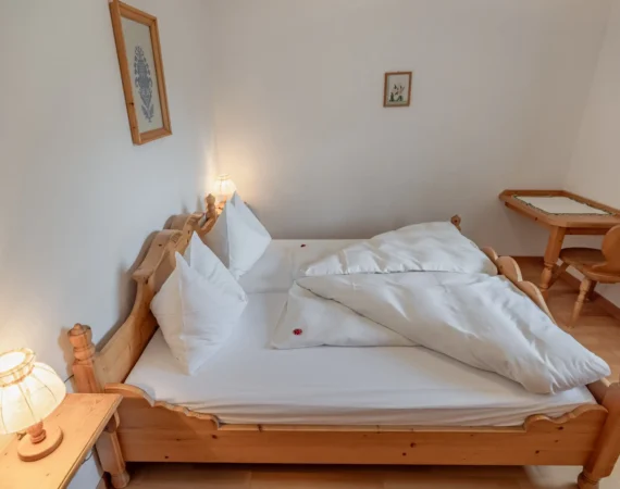 optim-App-Sonnenblume-Hansbauer Juli 2023 -16