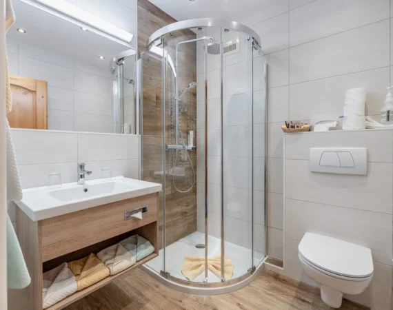 optim-App-Sonnenblume-Hansbauer Juli 2023 -4