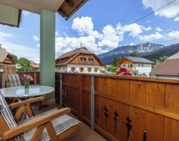 optim-App-Sonnenblume-Hansbauer Juli 2023 -66