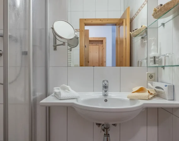 optim-Zimmer-Lavandl-Hansbauer Juli 2023 -422