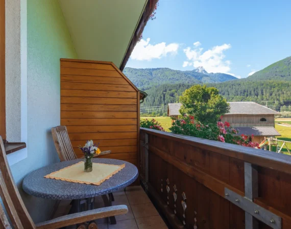 optim-Zimmer-Ringelblume-Hansbauer Juli 2023 -461